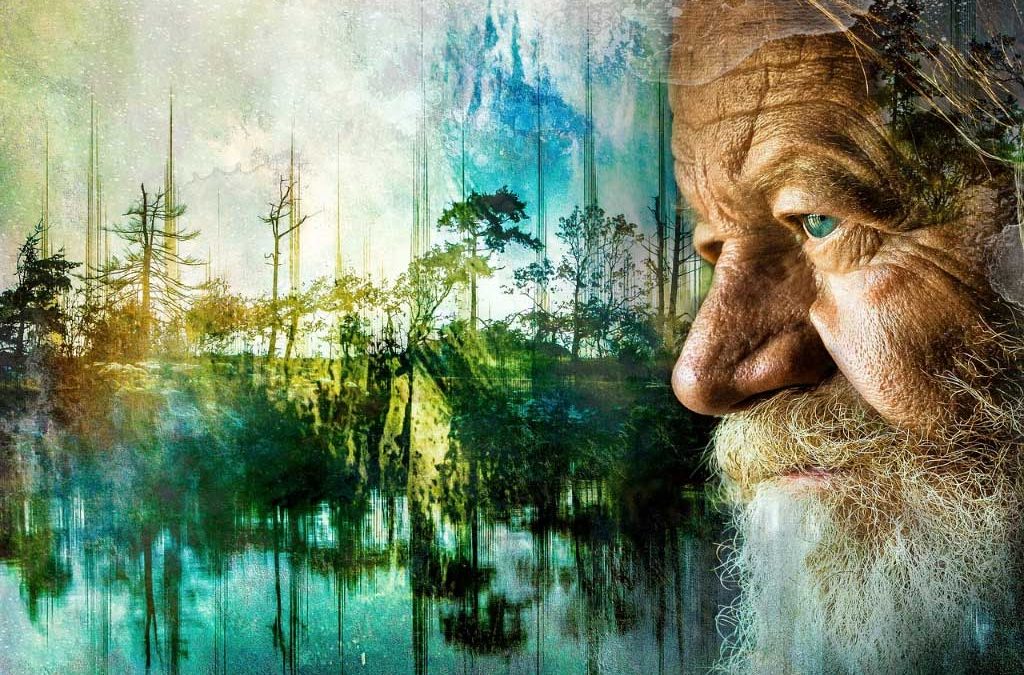 İnvitro Care > Yaşlı Bakımı